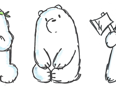 Ice bear