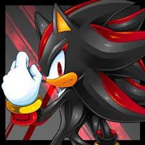 Shadow The Hedgehog