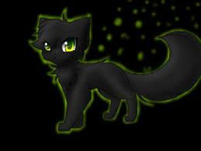 Hollyleaf