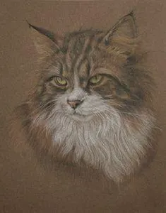Lionstripe Lionstripe