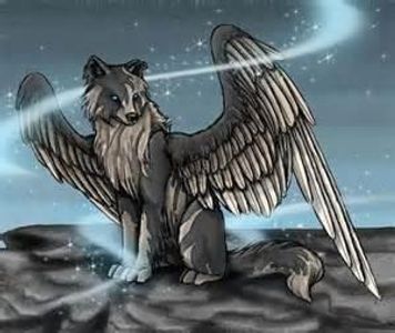 Angel wolf