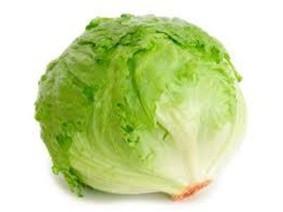 lettuce