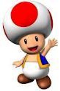 Little mushroom toad!