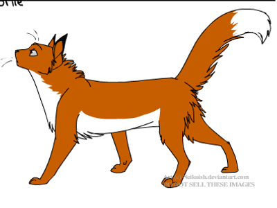 Foxpelt