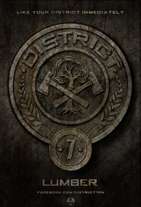 District 7 - Lumber