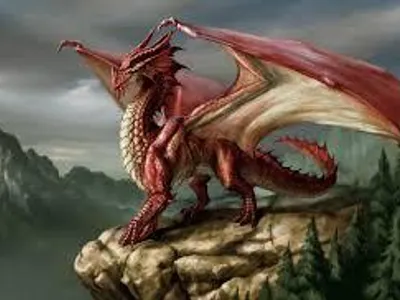 dragon dragon