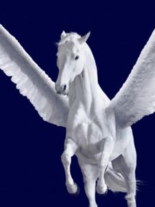 Pegasus