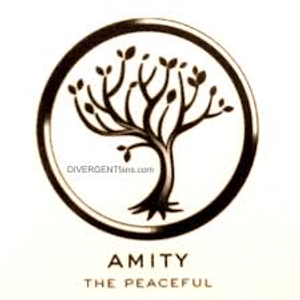 Amity