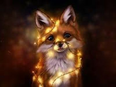 Fairy Fox