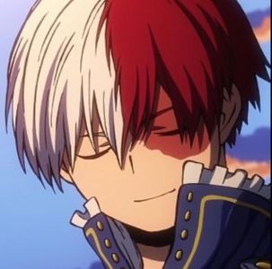 Shoto Todoroki