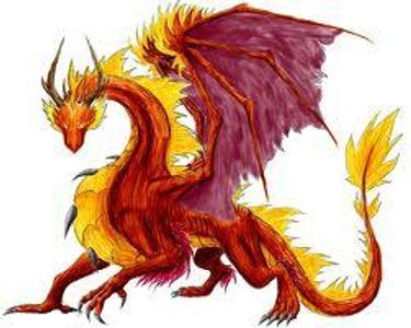 Fire Dragon