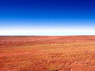 Wheat and Plains