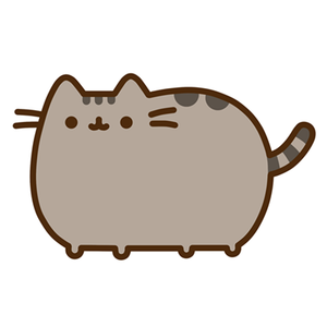 Pusheen cat!