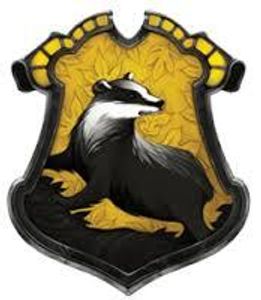 Hot hufflepuff