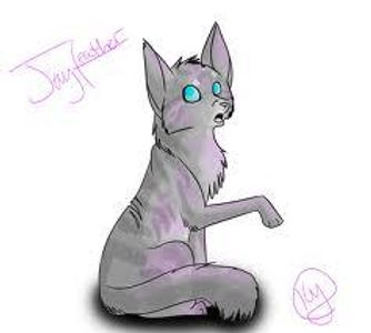 Jayfeather