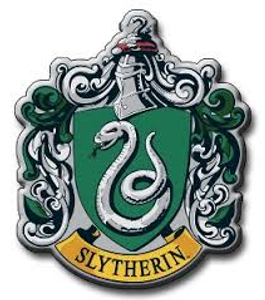 You are in Slytherin!