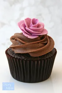 Chocolate cupcakes Chocolate cupcakes