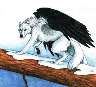 Winged Wolf