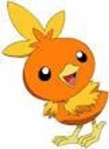 Torchic