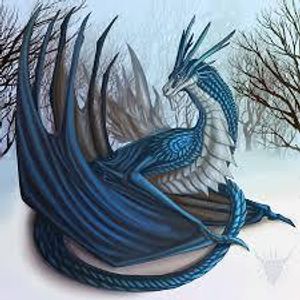 Winter Dragon