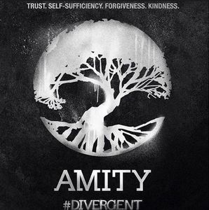 Amity