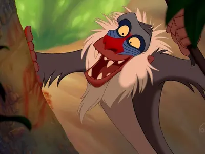 Rafiki Rafiki