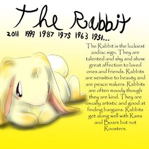 Rabbit