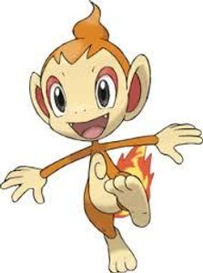 Chimchar