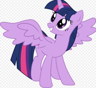 You are Princess Twilight Sparkle! :)