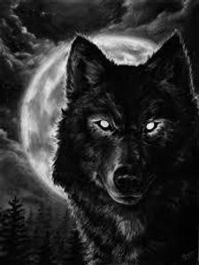 Night Wolf