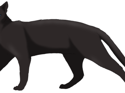 Crowfeather