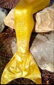 Yellow tail