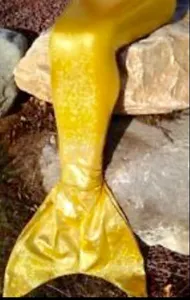 Yellow tail Yellow tail