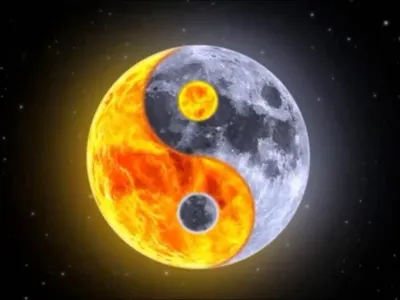 Yin Yin