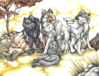 The Pack Life The Pack Life