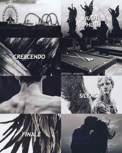 The Hush Hush Saga