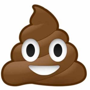 POOP EMOJI