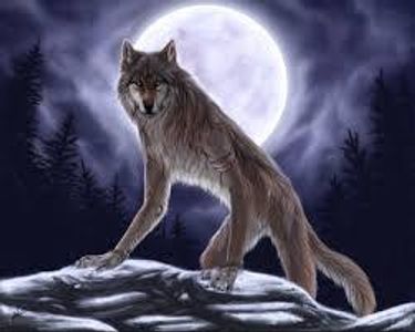 Werewolf