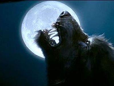 Werewolf