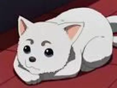 Dog Dog