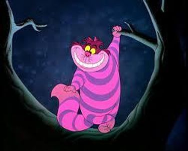 Cheshire cat