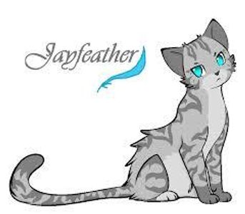 Jayfeather