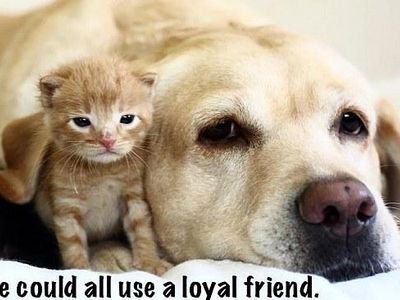 Being a Loyal Friend