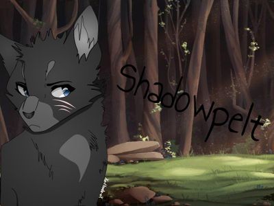 Shadowpelt