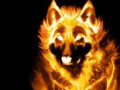 Flame Wolf