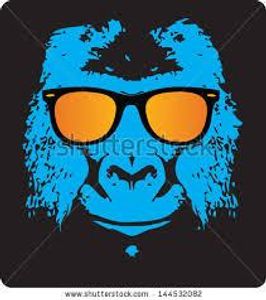 cool monkey