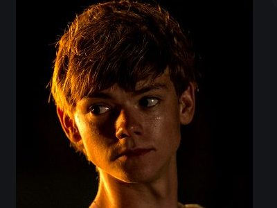 Newt