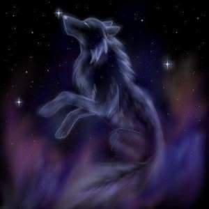 your a dream wolf!