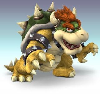 You are Bowser