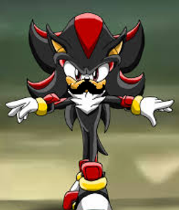 Shadow The Hedgehog